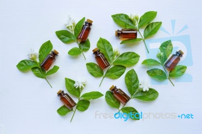 Bottle Of Essential Oil With Jasmine Flower And Leaves Stock Photo