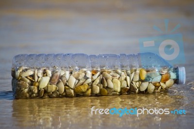 Bottle With Donax Clams Stock Photo