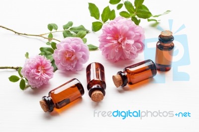 Bottles Of Essential Rose Oil For Aromatherapy, Huntington Rose Stock Photo