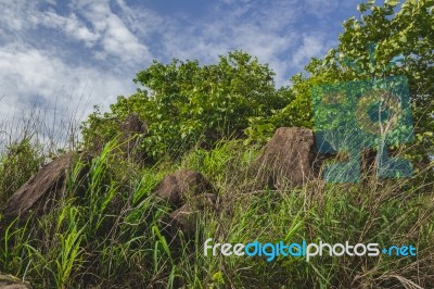 Boulders And Trees With Blue Sky In The Background Stock Photo