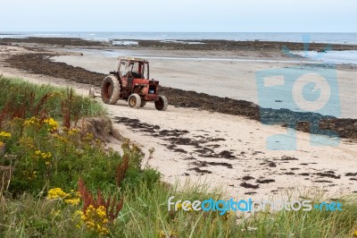 Boulmer, Nortumberland/uk - August 16 : Tractor On A Sandy Beach… Stock Photo