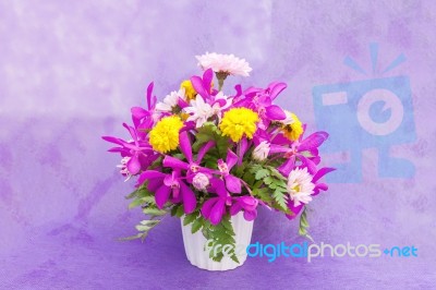 Bouquet Of Chrysanthemum And Orchid Flowers Isolated On Purple V… Stock Photo