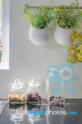 Bowl Of Plants Hang On Bar Rail With Glass Vase Stock Photo