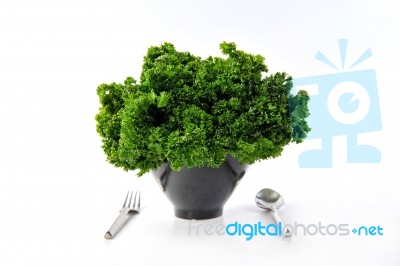 Bowl Of Salad Or Herbs Stock Photo