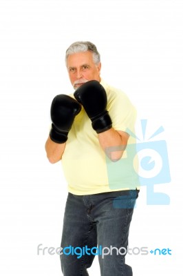 Boxer Stock Photo