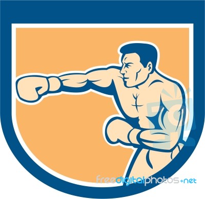 Boxer Boxing Punching Shield Cartoon Stock Image