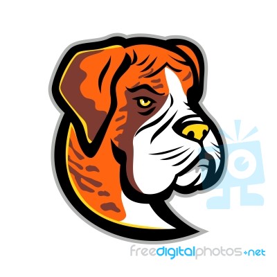 Boxer Dog Mascot Stock Image