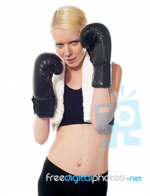 Boxer Girl In Fighting Pose Stock Photo