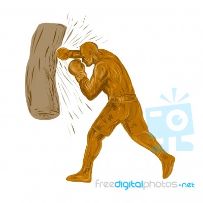 Boxer Punching Bag Drawing Stock Image