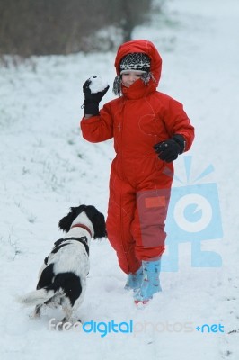 Boy And Dog Throwing Snowballs Stock Photo