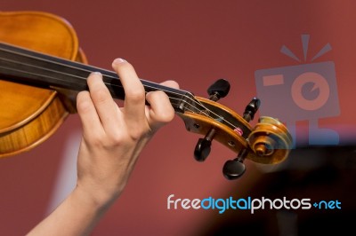 Boy Plays Violin Stock Photo