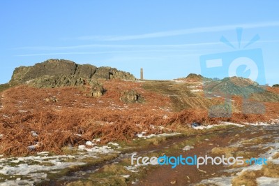 Bradgate Park In The Snow Stock Photo