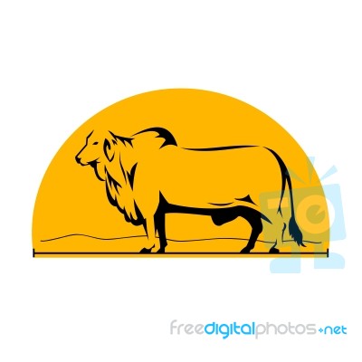 Brahman Bull Mountains Side Half Circle Stock Image