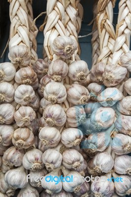 Braided Garlic Stock Photo