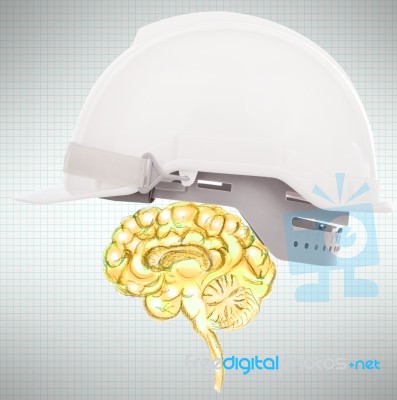 Brain Protect Use For Business And Know How Protection Stock Image