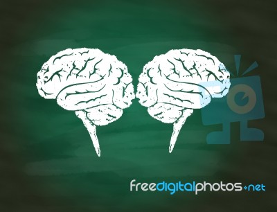 Brainstorming Concept,drawing Of Brain Maze Puzzle On Green Chalkboard Stock Image