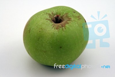 Bramley Apple Stock Photo