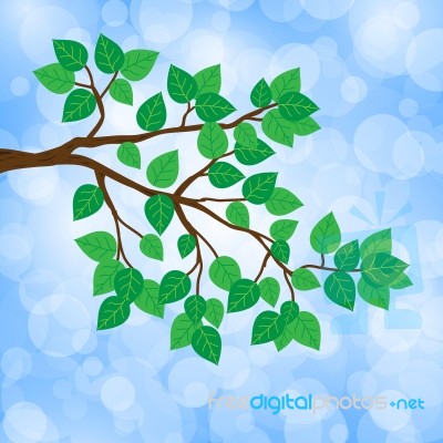 Branches, Green Leaves Stock Image