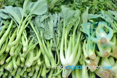 Brassica Stock Photo