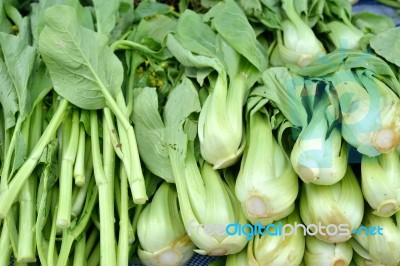 Brassica Stock Photo