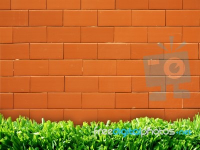 Brick Wall With Grass Floor Stock Photo