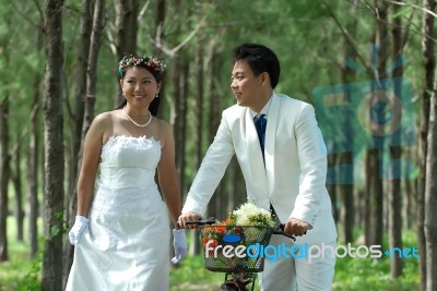 Bride And Groom Stock Photo