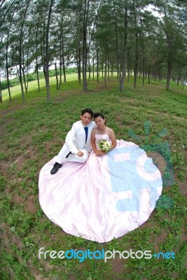 Bride And Groom Stock Photo