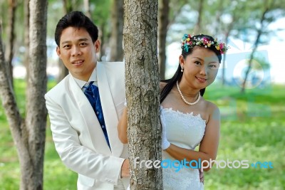 Bride And Groom Stock Photo