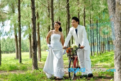 Bride And Groom Stock Photo