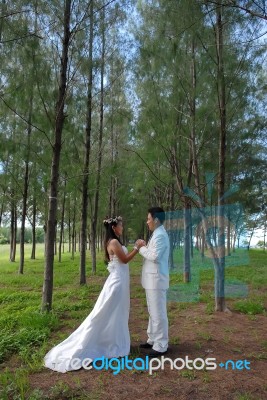 Bride And Groom Stock Photo