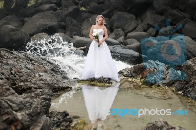 Bride At Snapper Rock Beach In New South Wales Stock Photo