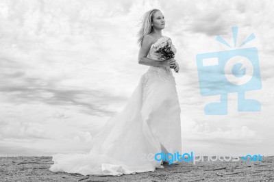 Bride At Snapper Rock Beach In New South Wales Stock Photo