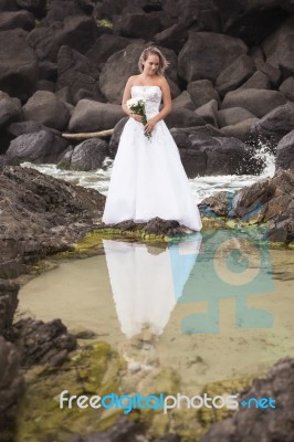 Bride At Snapper Rock Beach In New South Wales Stock Photo