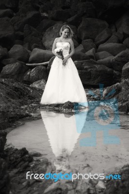 Bride At Snapper Rock Beach In New South Wales Stock Photo