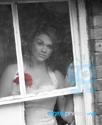 Bride At Window Stock Photo