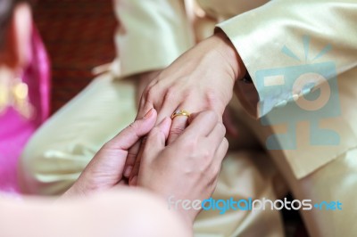 Bride Wearing Ring On Groom's Finger Stock Photo