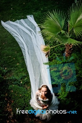 Bride With A Veil Stock Photo