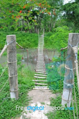 Bridge In The Jungle Stock Photo