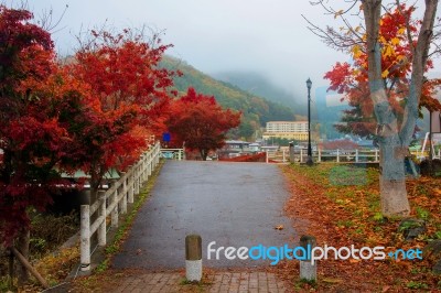 Bridge Surrounded By Autumn Color Foliage Stock Photo