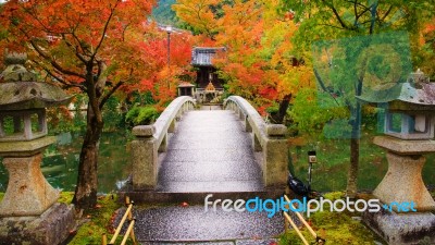 Bridge Wtih Autumn Leaves At Eikando Temple Stock Photo