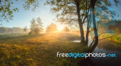 Bright Summer Sunrise Stock Photo