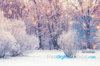 Bright Xmas Background Stock Photo