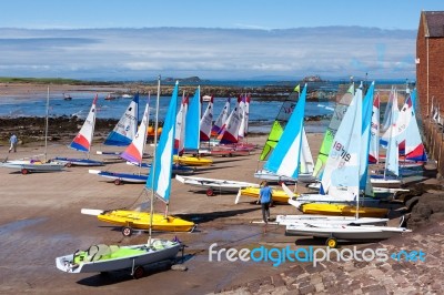 Brightly Coloured Yachts At North Berwick Harbour Stock Photo