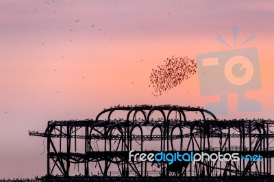 Brighton, East Sussex/uk - January 26 : Starlings Over The Derel… Stock Photo