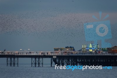 Brighton, East Sussex/uk - January 26 : Starlings Over The Pier Stock Photo