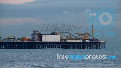 Brighton, East Sussex/uk - January 26 : Starlings Over The Pier Stock Photo