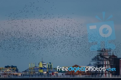 Brighton, East Sussex/uk - January 26 : Starlings Over The Pier Stock Photo