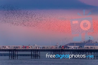 Brighton, East Sussex/uk - January 26 : Starlings Over The Pier Stock Photo