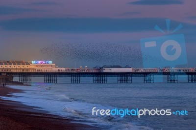 Brighton, East Sussex/uk - January 26 : Starlings Over The Pier Stock Photo