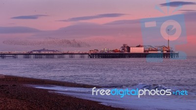 Brighton, East Sussex/uk - January 26 : Starlings Over The Pier Stock Photo